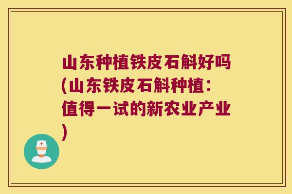 山东种植铁皮石斛好吗(山东铁皮石斛种植：值得一试的新农业产业)