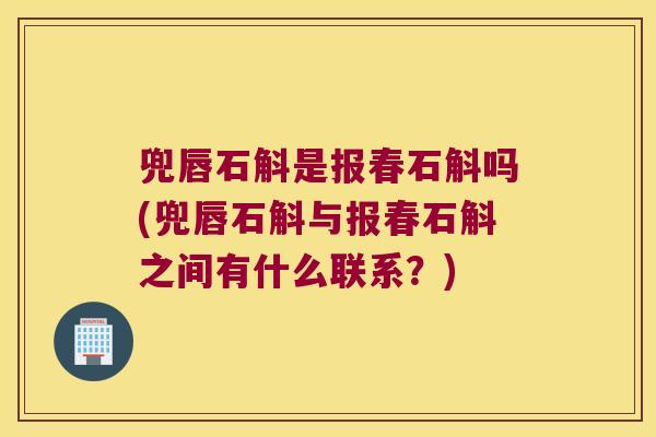 兜唇石斛是报春石斛吗(兜唇石斛与报春石斛之间有什么联系？)