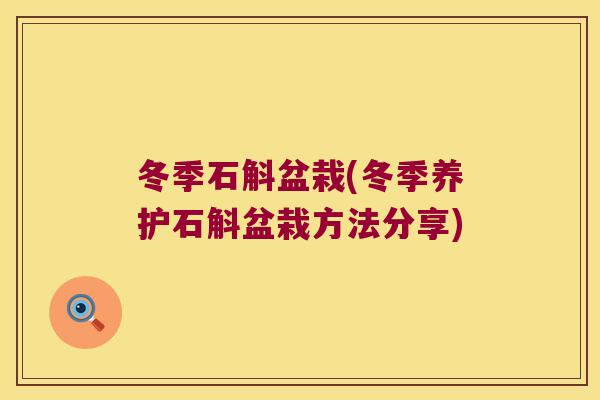 冬季石斛盆栽(冬季养护石斛盆栽方法分享)