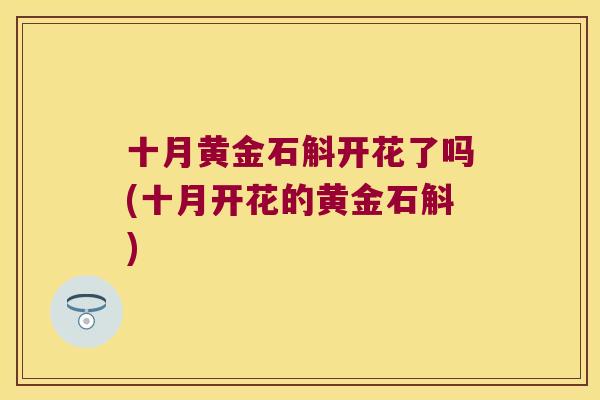 十月黄金石斛开花了吗(十月开花的黄金石斛)