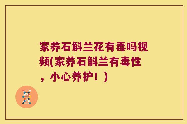 家养石斛兰花有毒吗视频(家养石斛兰有毒性，小心养护！)