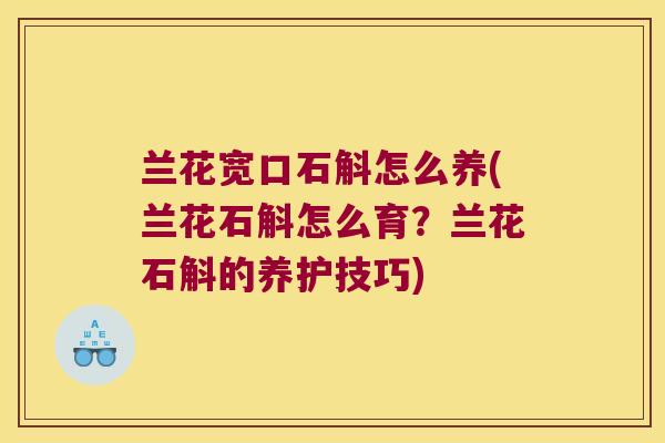 兰花宽口石斛怎么养(兰花石斛怎么育？兰花石斛的养护技巧)