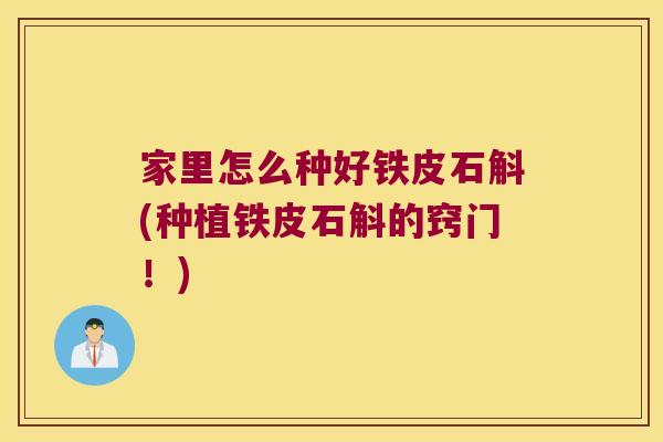 家里怎么种好铁皮石斛(种植铁皮石斛的窍门!) 家里怎么种好铁皮石斛(种植铁皮石斛的窍门!)