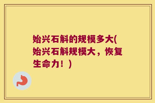 始兴石斛的规模多大(始兴石斛规模大,恢复生命力!) 始兴石斛的规模多大(始兴石斛规模大,恢复生命力!)