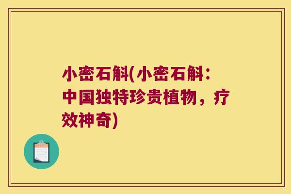 小密石斛(小密石斛:中国独特珍贵植物,疗效神奇) 小密石斛(小密石斛:中国独特珍贵植物,疗效神奇)