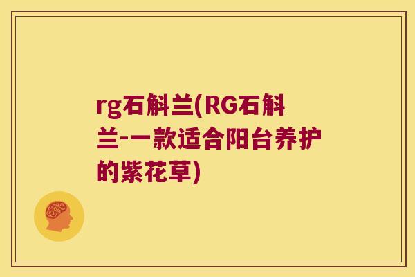 rg石斛兰(RG石斛兰-一款适合阳台养护的紫花草)