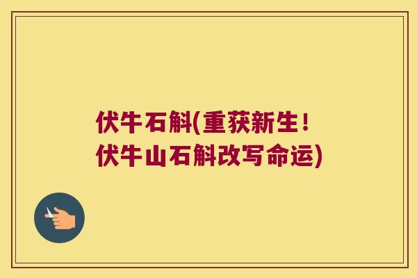 伏牛石斛(重获新生！伏牛山石斛改写命运)