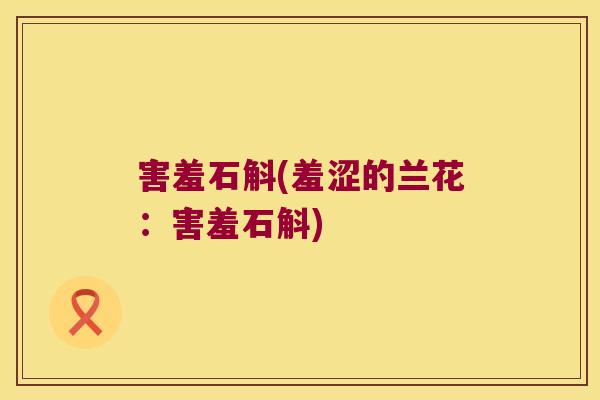 害羞石斛(羞涩的兰花：害羞石斛)