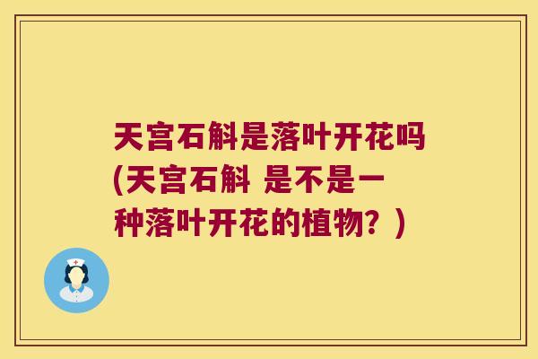 天宫石斛是落叶开花吗(天宫石斛 是不是一种落叶开花的植物？)