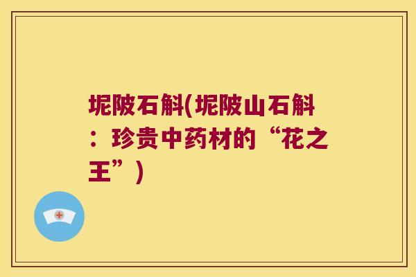 坭陂石斛(坭陂山石斛：珍贵材的“花之王”)