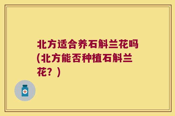 北方适合养石斛兰花吗(北方能否种植石斛兰花？)