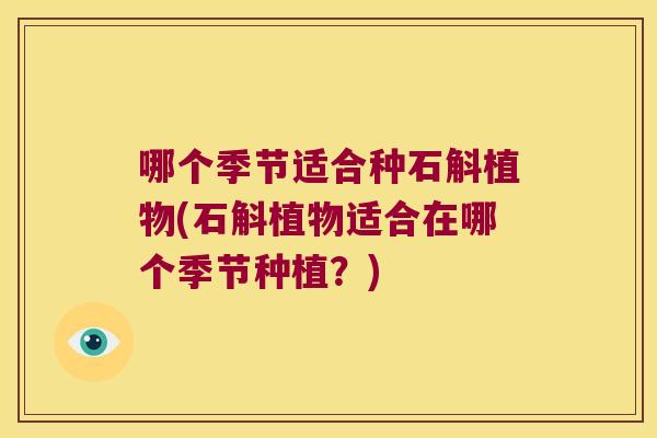 哪个季节适合种石斛植物(石斛植物适合在哪个季节种植？)