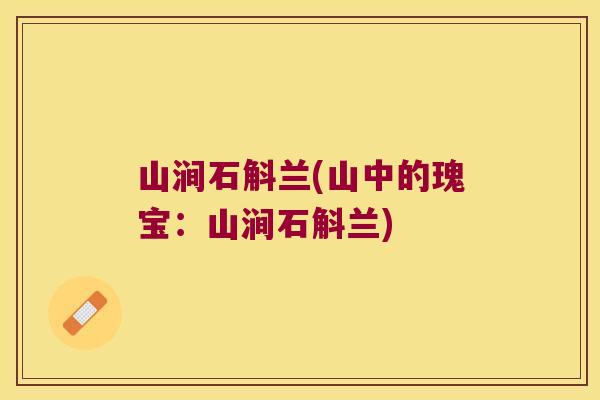 山涧石斛兰(山中的瑰宝：山涧石斛兰)