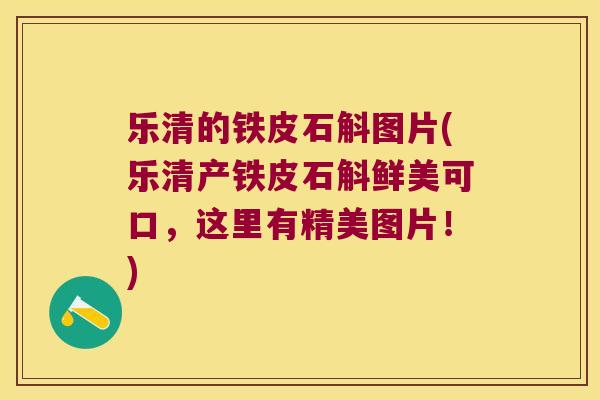 乐清的铁皮石斛图片(乐清产铁皮石斛鲜美可口，这里有精美图片！)
