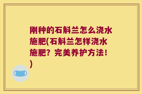刚种的石斛兰怎么浇水施肥(石斛兰怎样浇水施肥？完美养护方法！)