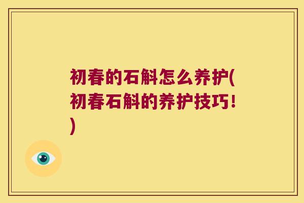 初春的石斛怎么养护(初春石斛的养护技巧！)