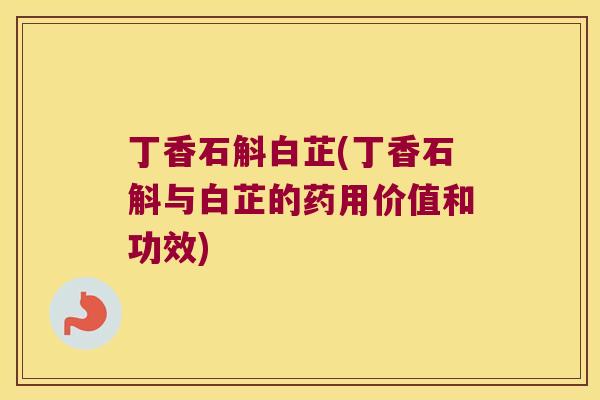 丁香石斛白芷(丁香石斛与白芷的药用价值和功效)