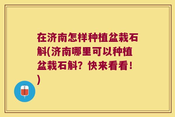 在济南怎样种植盆栽石斛(济南哪里可以种植盆栽石斛？快来看看！)