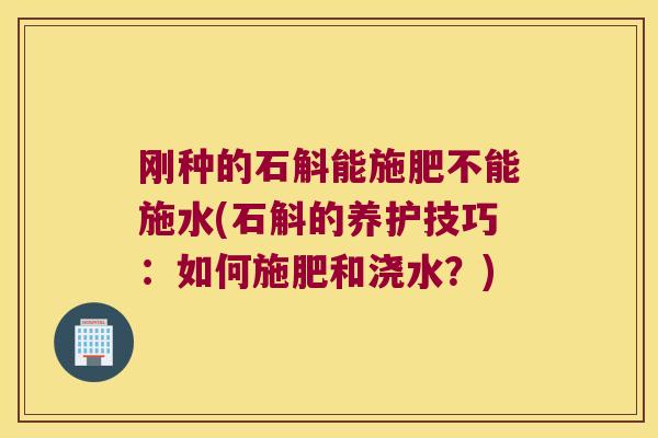 刚种的石斛能施肥不能施水(石斛的养护技巧：如何施肥和浇水？)