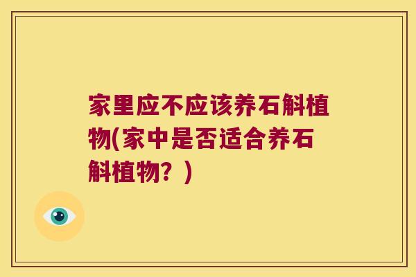 家里应不应该养石斛植物(家中是否适合养石斛植物？)
