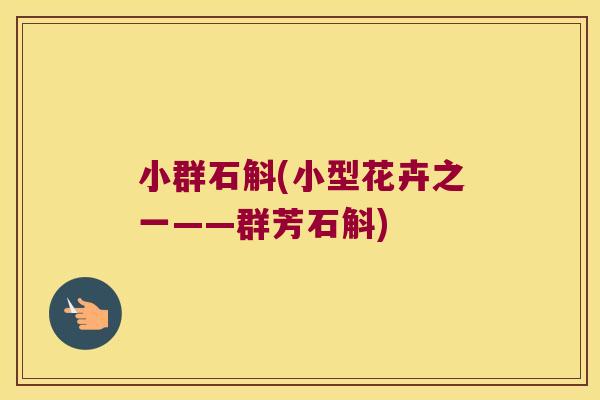 小群石斛(小型花卉之一——群芳石斛)
