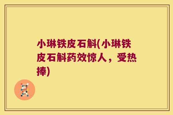 小琳铁皮石斛(小琳铁皮石斛惊人,受热捧) 小琳铁皮石斛(小琳铁皮石斛惊人,受热捧)