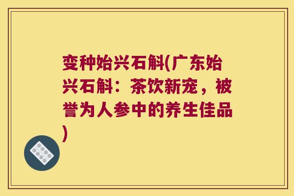 变种始兴石斛(广东始兴石斛：茶饮新宠，被誉为人参中的养生佳品)