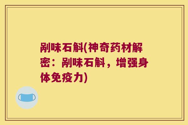 剐味石斛(神奇药材解密：剐味石斛，增强身体免疫力)