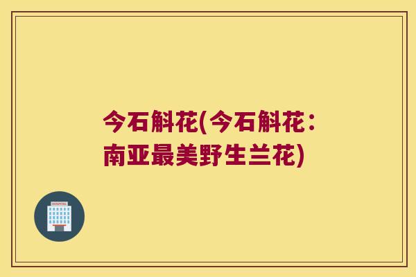 今石斛花(今石斛花：南亚最美野生兰花)
