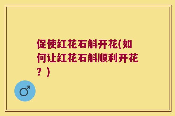 促使红花石斛开花(如何让红花石斛顺利开花？)