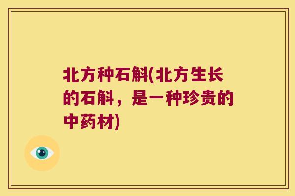 北方种石斛(北方生长的石斛，是一种珍贵的中药材)