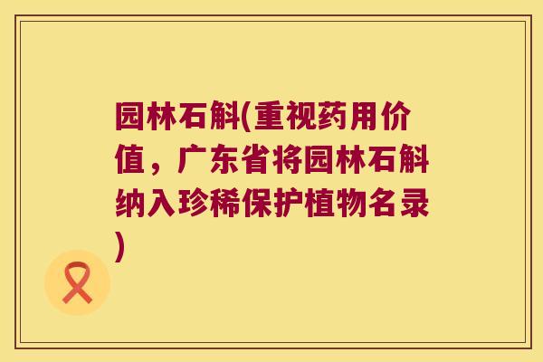 园林石斛(重视药用价值，广东省将园林石斛纳入珍稀保护植物名录)