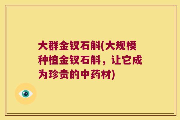 大群金钗石斛(大规模种植金钗石斛,让它成为珍贵的材) 大群金钗石斛(大规模种植金钗石斛,让它成为珍贵的材)