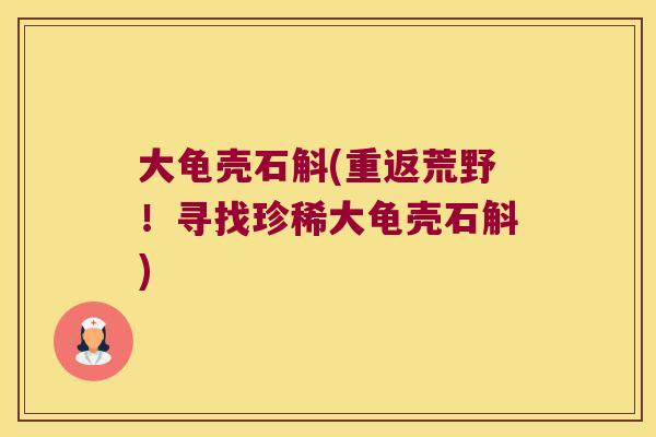 大龟壳石斛(重返荒野！寻找珍稀大龟壳石斛)