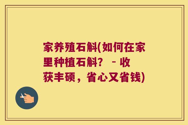 家养殖石斛(如何在家里种植石斛？ - 收获丰硕，省心又省钱)