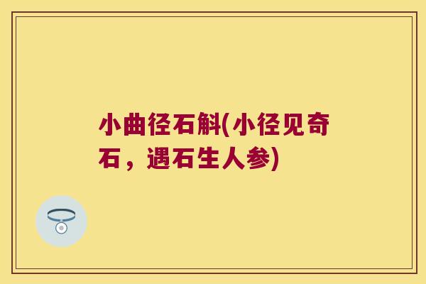 小曲径石斛(小径见奇石，遇石生人参)
