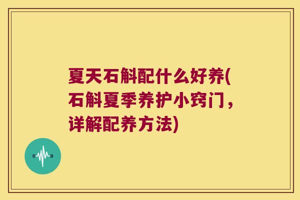夏天石斛配什么好养(石斛夏季养护小窍门，详解配养方法)