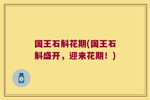 国王石斛花期(国王石斛盛开，迎来花期！)