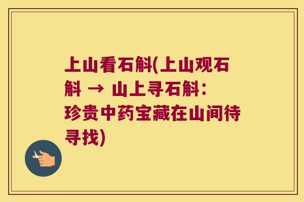 上山看石斛(上山观石斛 → 山上寻石斛:珍贵宝藏在山间待寻找) 上山看石斛(上山观石斛 → 山上寻石斛:珍贵宝藏在山间待寻找)