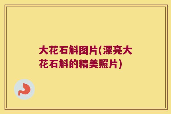 大花石斛图片(漂亮大花石斛的精美照片) 大花石斛图片(漂亮大花石斛的精美照片)