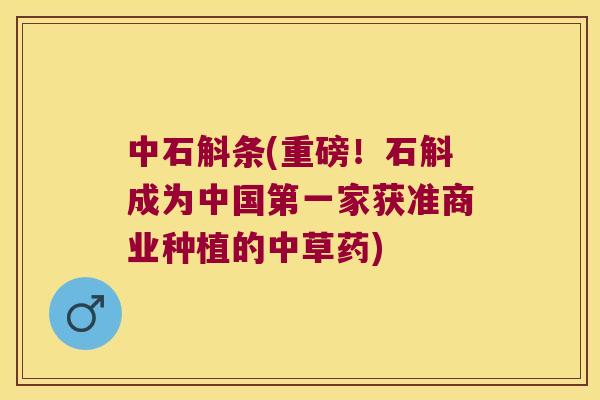中石斛条(重磅！石斛成为中国第一家获准商业种植的中草药)