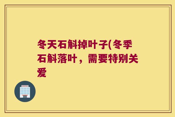 冬天石斛掉叶子(冬季石斛落叶，需要特别关爱