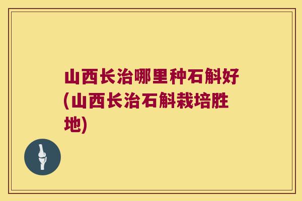 山西长哪里种石斛好(山西长石斛栽培胜地)