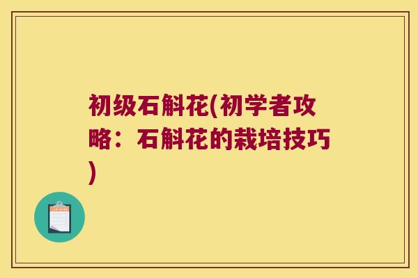 初级石斛花(初学者攻略:石斛花的栽培技巧) 初级石斛花(初学者攻略:石斛花的栽培技巧)