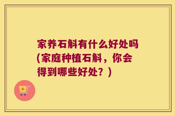 家养石斛有什么好处吗(家庭种植石斛，你会得到哪些好处？)