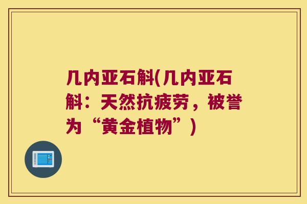 几内亚石斛(几内亚石斛：天然抗疲劳，被誉为“黄金植物”)