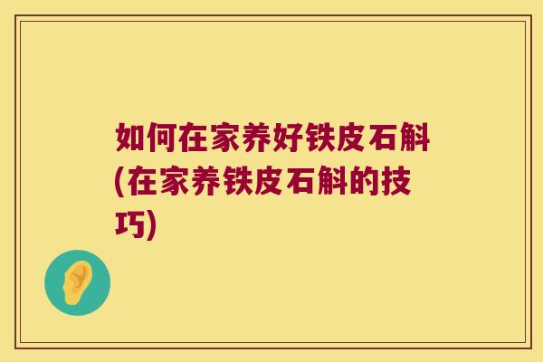 如何在家养好铁皮石斛(在家养铁皮石斛的技巧)