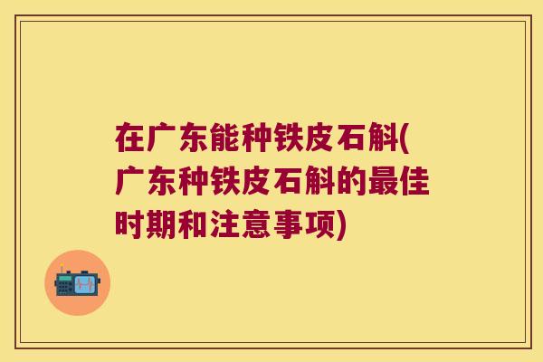 在广东能种铁皮石斛(广东种铁皮石斛的最佳时期和注意事项)