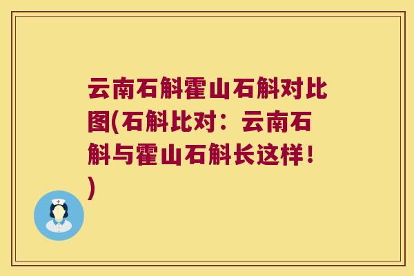 云南石斛霍山石斛对比图(石斛比对：云南石斛与霍山石斛长这样！)