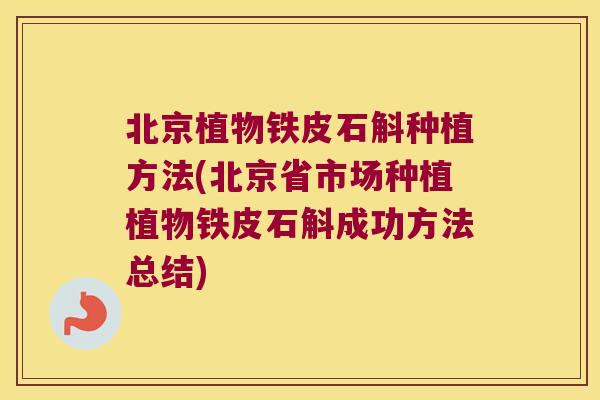 北京植物铁皮石斛种植方法(北京省市场种植植物铁皮石斛成功方法总结)